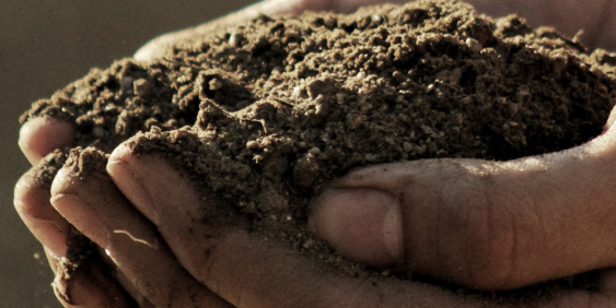Close-up on person holding dirt with both hands cupped together