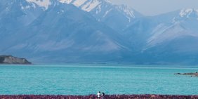 State of climate investment in Aotearoa New Zealand