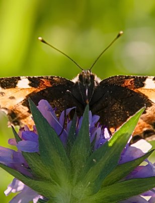 Climate Governance in Action: Chapter Zero NZ 2025