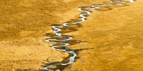 Director lens on disclosures