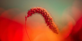 Director Lens on the IPCC Reports