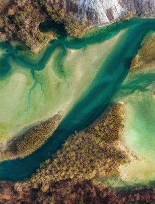 Principles for climate and nature governance