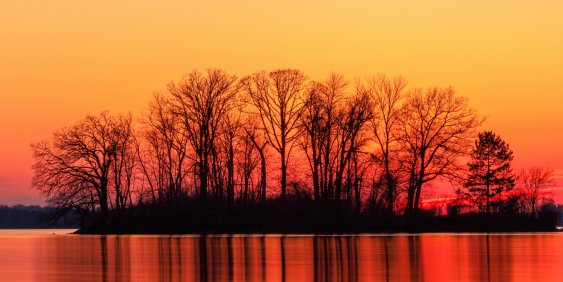 Responding to nature-related risk in the boardroom