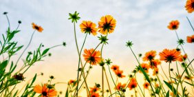 Director lens on climate risk and opportunity