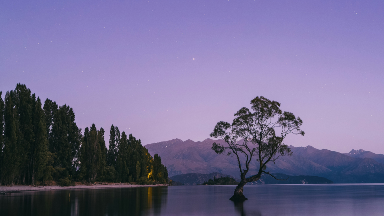 Chapter Zero New Zealand