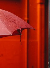 Directors and Officers insurance