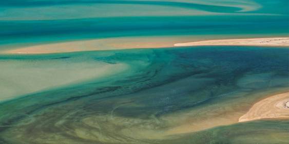 Being people led: Brooke White wins Governance Award