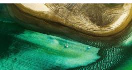 The courage to adapt