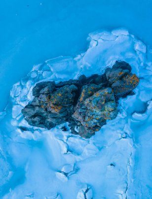 Climate forum reader 2025