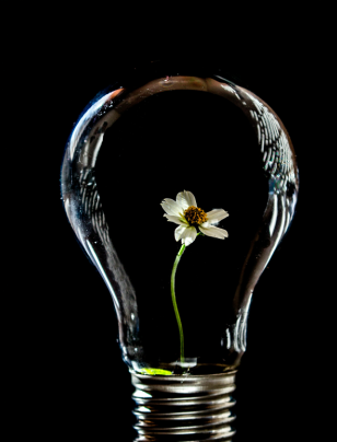 Four sectors. Four stories: Climate action in practice
