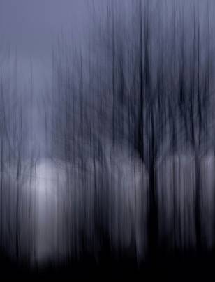 Understanding how risk is evolving and how resilience is shaped