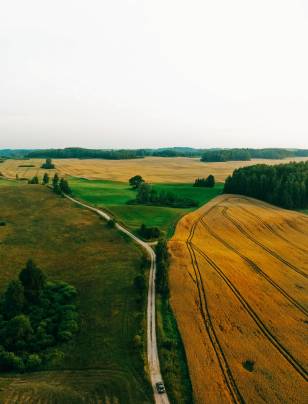 Climate and ESG legislation: global shifts, local governance impact