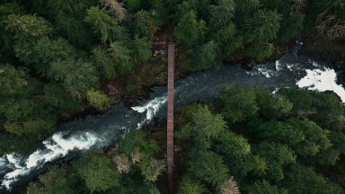 Member coffee connect