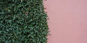 From compliance to confidence: governing charities and societies for the future