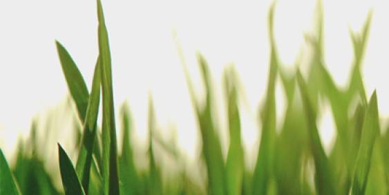 Christmas comes early for Hokitika man 