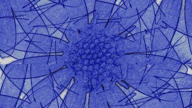 Member coffee catch-up