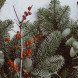 Christmas function @ Ilex Botanic Gardens