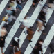 The Trusts Act 2019: Implications for trustees of charitable trusts and NFPs