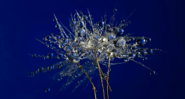 Boards' most important job: Lessons from a 100-day CEO 