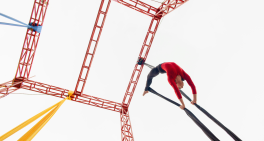 Agility, values and purpose drive good public sector governance