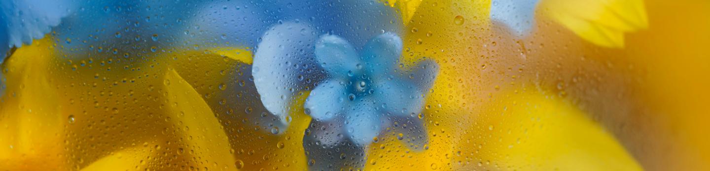 A bright yellow flower in full bloom, showcasing its soft petals and natural beauty.