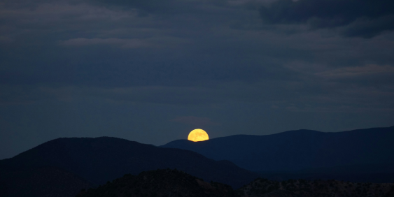 Mandatory climate reporting: Experiences from year one of New Zealand's regime