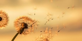 Global risks 2026: why waiting is no longer a governance option