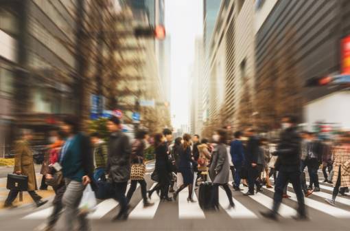 Directors' fees report