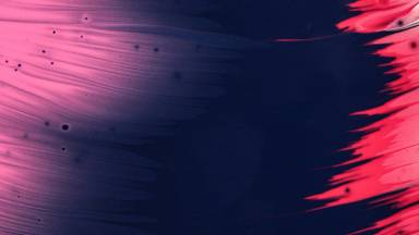 Courageous Governance: Facing the Hard Conversations