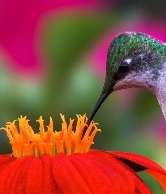 Financial quantification: from climate risk to value creation