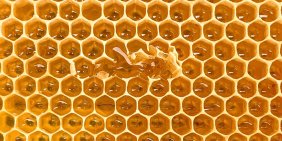 From honey to high-tech: boards at the centre of New Zealand’s M&A wave