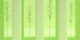 Health and safety reform: Key implications for directors and officers