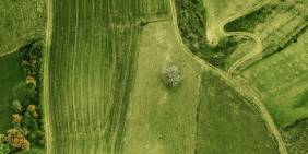 IMHO: 880 million-year-old manufacturer seeks partnerships