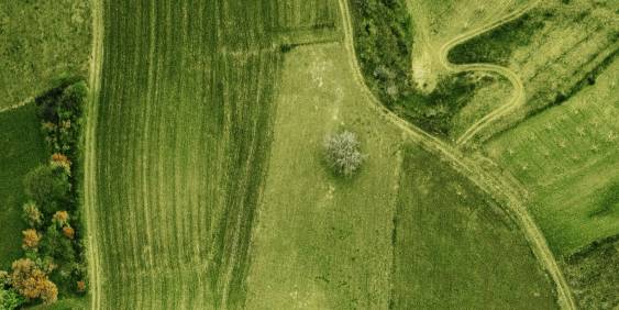 IMHO: 880 million-year-old manufacturer seeks partnerships