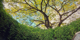 Still talking ESG? It’s time to govern it