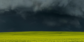 In the eye of the storm: how a CEO held the line