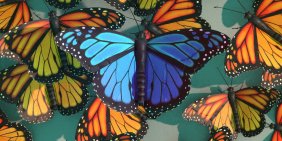 IoD recognises five new Distinguished Fellows