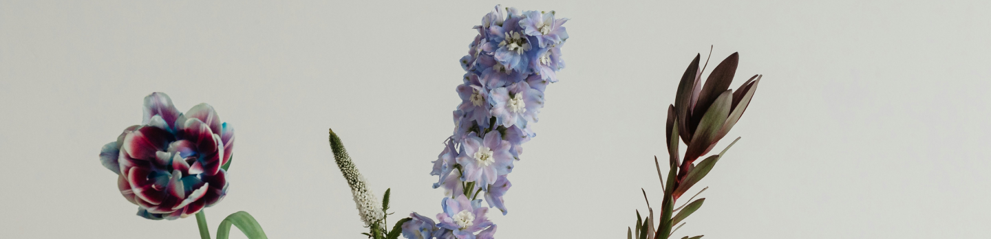 A collection of decorative vases filled with various colorful flowers arranged on a table.