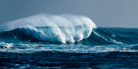 ‘Make space for how they lead’ – Māori voices in rugby governance