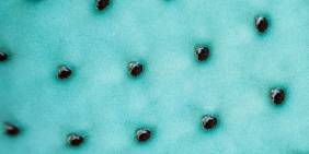 When familiar risks become blind spots