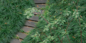 Sustainability moves into the growth agenda