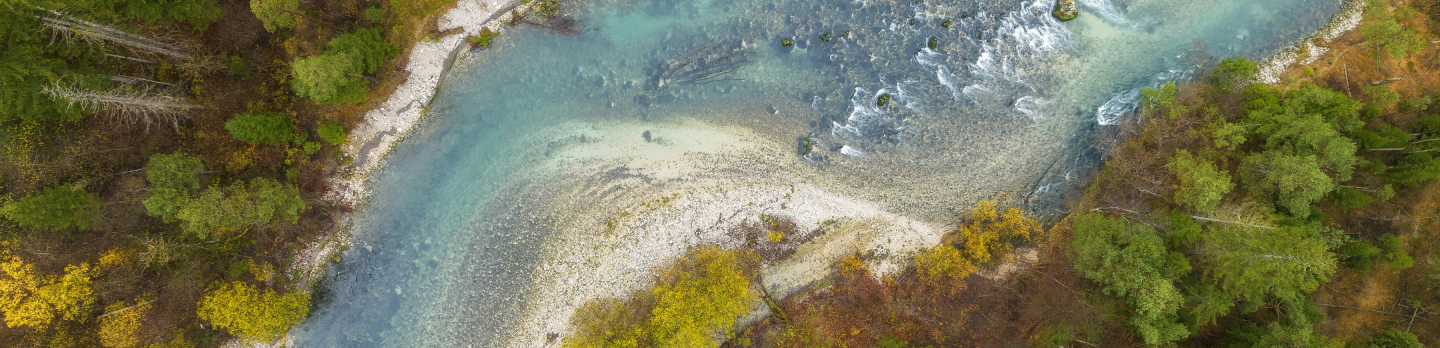 Aerial view of a winding river with clear blue water bordered by lush green and golden autumn trees, conveying a serene and natural landscape.