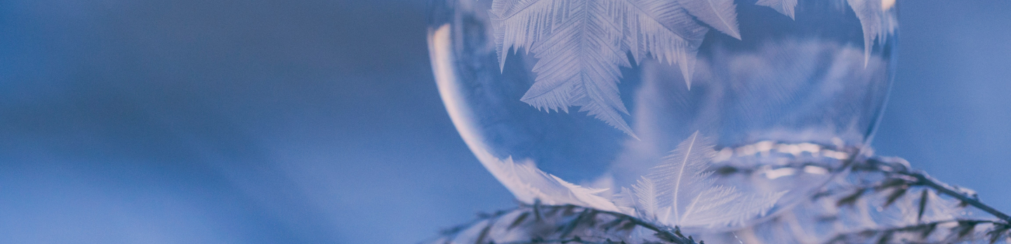 A delicate frozen soap bubble rests on a frosty plant, showcasing intricate ice patterns. The background is a soft, blurred bluish hue, creating a tranquil atmosphere.