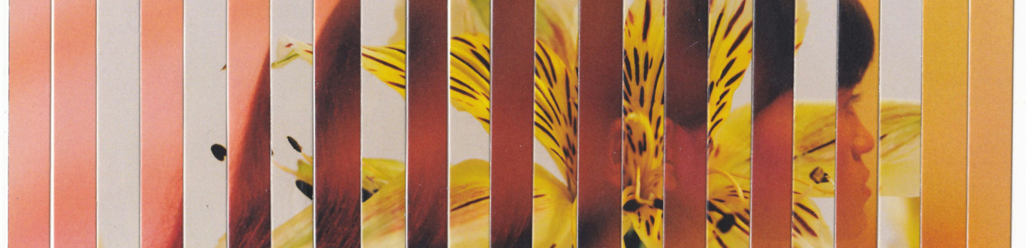 A bright yellow flower is positioned before a wall featuring bold stripes, enhancing the overall aesthetic.