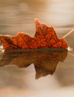 Was this our fault – or Mother Nature?
