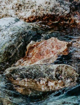 Tighter budgets put nature investment to the test