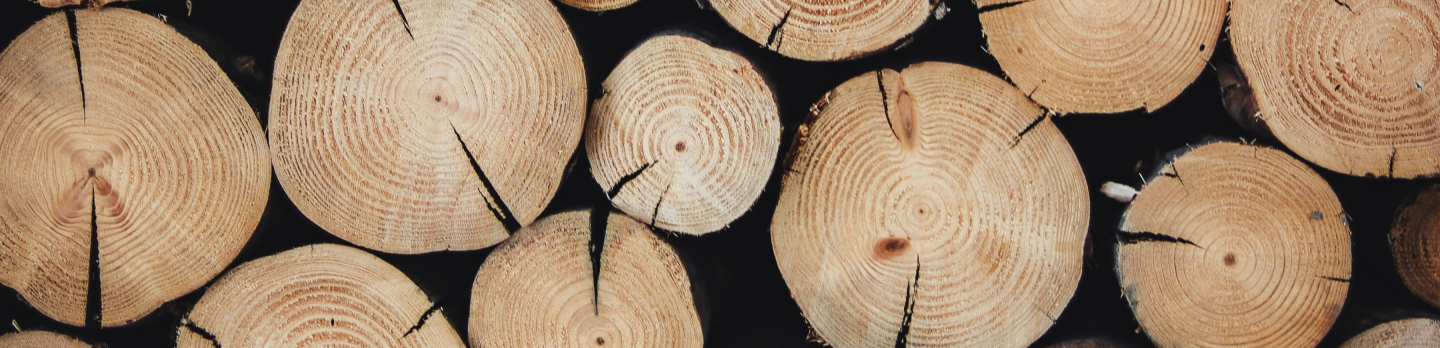Close-up of stacked cut wood logs showing circular growth rings, dark cracks, and warm tan textures against a black background; rustic, natural mood.