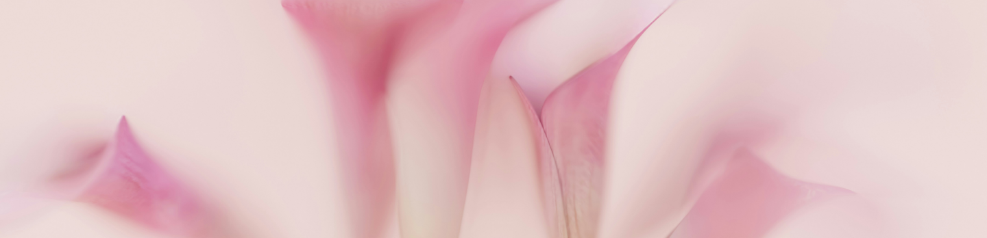 Blurry photograph of pink flowers, showcasing soft petals and a gentle, dreamy atmosphere.