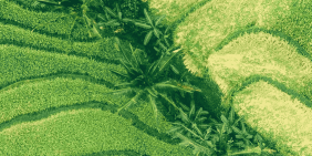 Agribusiness’ future is electric