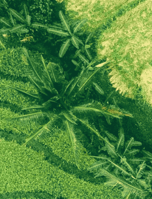 Agribusiness’ future is electric